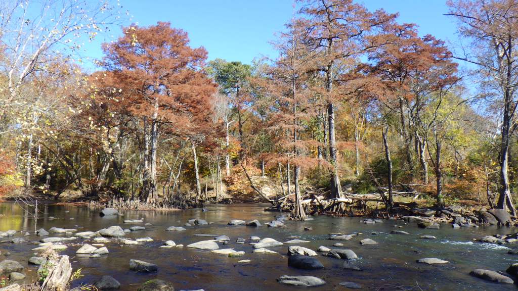 Photograph of a daytime landscape, a rock-filled stream in NC, surrounded by trees of all colors, beneath a bright blue sky.